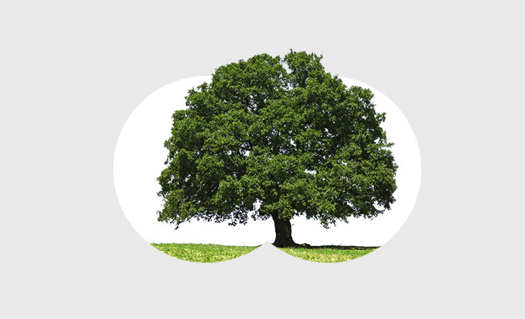 Ein Baum steht für Stärke Gontermann-Peipers Leitbild